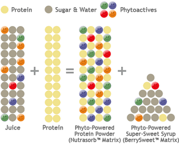 Nutrasorb process